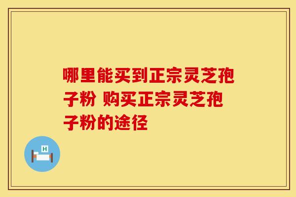 哪里能买到正宗灵芝孢子粉 购买正宗灵芝孢子粉的途径