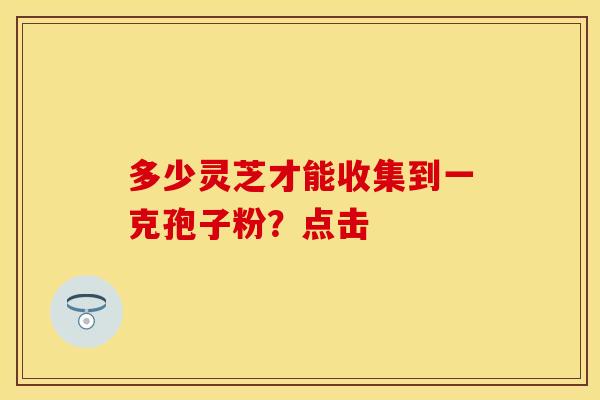 多少灵芝才能收集到一克孢子粉?点击 多少灵芝才能收集到一克孢子粉?点击