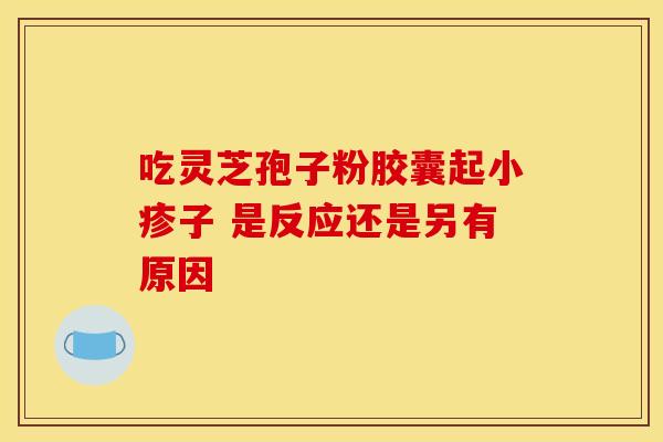 吃灵芝孢子粉胶囊起小疹子 是反应还是另有原因