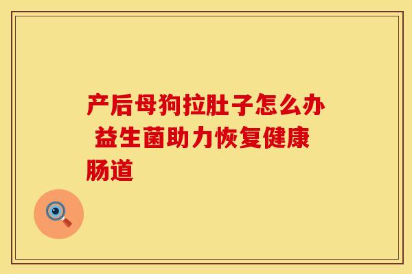 产后母狗拉肚子怎么办 益生菌助力恢复健康肠道