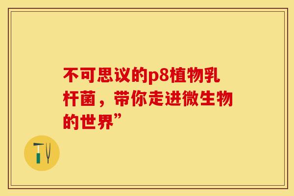 不可思议的p8植物乳杆菌，带你走进微生物的世界”