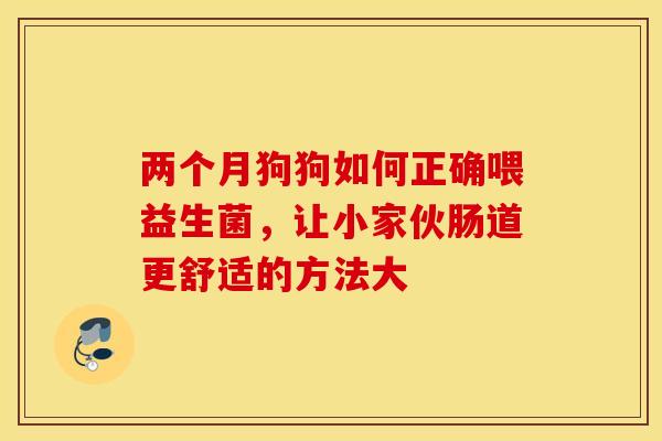 两个月狗狗如何正确喂益生菌,让小家伙肠道更舒适的方法大 两个月狗狗如何正确喂益生菌,让小家伙肠道更舒适的方法大