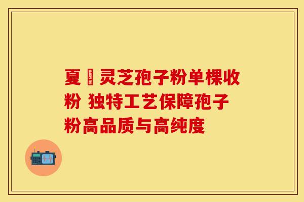 夏芃灵芝孢子粉单棵收粉 独特工艺保障孢子粉高品质与高纯度