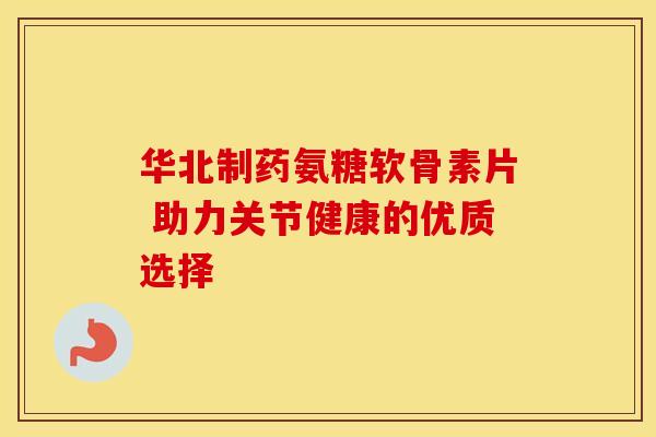 华北制药氨糖软骨素片 助力关节健康的优质选择