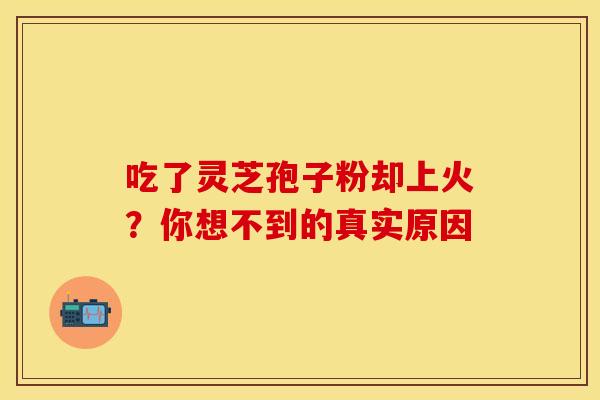 吃了灵芝孢子粉却上火？你想不到的真实原因