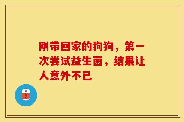 刚带回家的狗狗，第一次尝试益生菌，结果让人意外不已
