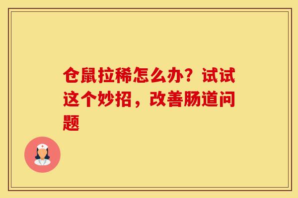 仓鼠拉稀怎么办？试试这个妙招，改善肠道问题