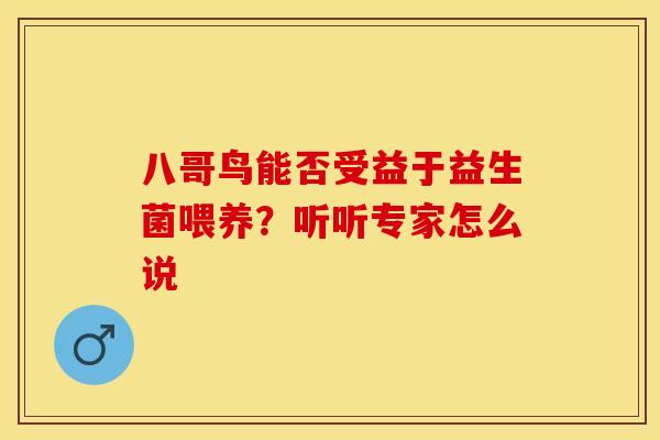 八哥鸟能否受益于益生菌喂养？听听专家怎么说