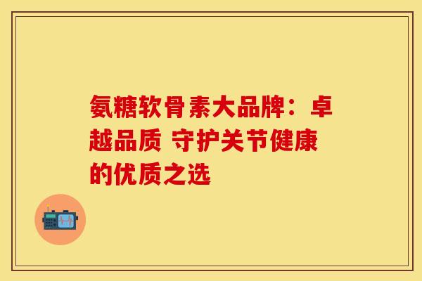 氨糖软骨素大品牌：卓越品质 守护关节健康的优质之选