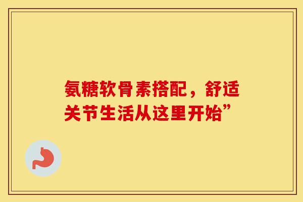 氨糖软骨素搭配，舒适关节生活从这里开始”