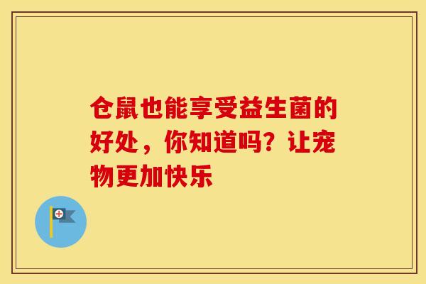 仓鼠也能享受益生菌的好处，你知道吗？让宠物更加快乐