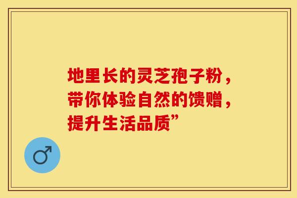地里长的灵芝孢子粉，带你体验自然的馈赠，提升生活品质”