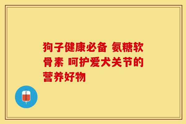 狗子健康必备 氨糖软骨素 呵护爱犬关节的营养好物