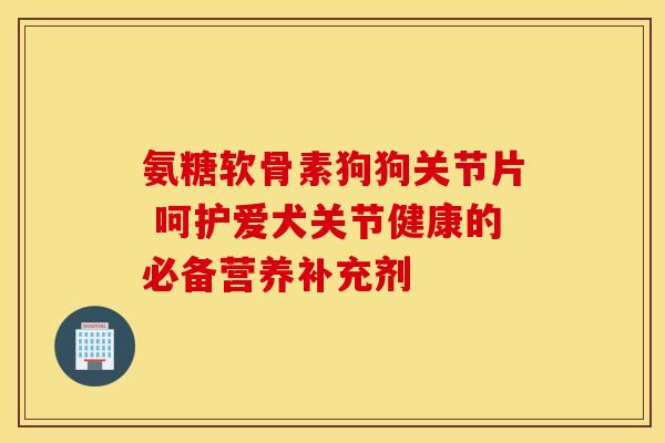 氨糖软骨素狗狗关节片 呵护爱犬关节健康的必备营养补充剂