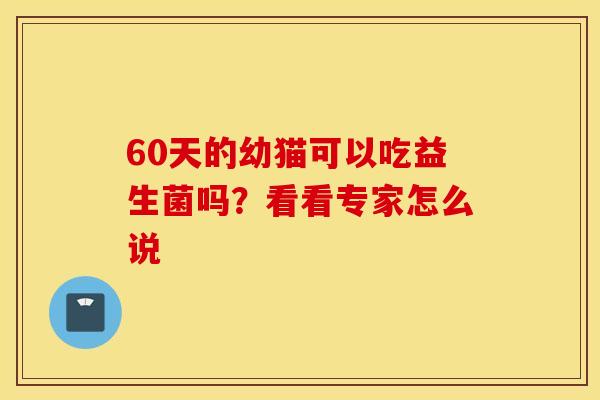60天的幼猫可以吃益生菌吗？看看专家怎么说