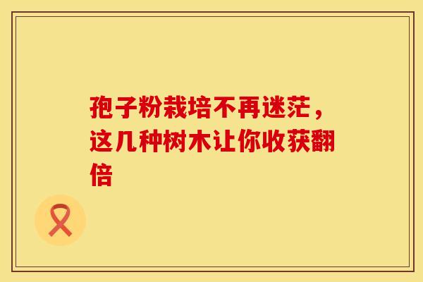 孢子粉栽培不再迷茫，这几种树木让你收获翻倍