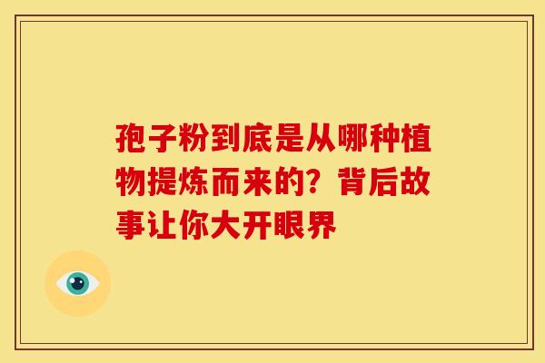 孢子粉到底是从哪种植物提炼而来的？背后故事让你大开眼界