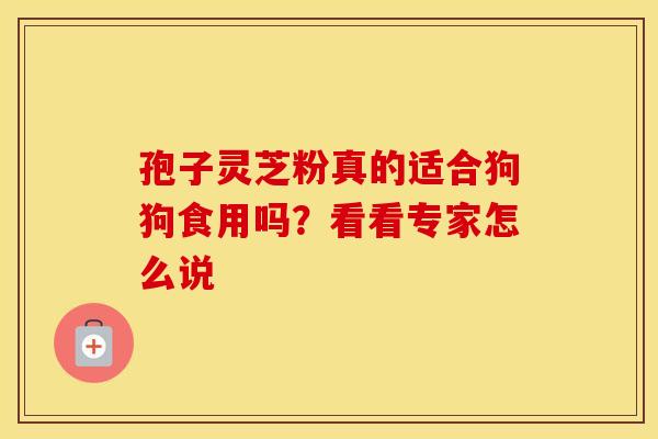 孢子灵芝粉真的适合狗狗食用吗？看看专家怎么说