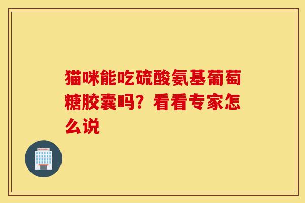 猫咪能吃硫酸氨基葡萄糖胶囊吗？看看专家怎么说