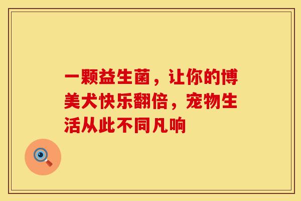 一颗益生菌,让你的博美犬快乐翻倍,宠物生活从此不同凡响 一颗益生菌,让你的博美犬快乐翻倍,宠物生活从此不同凡响