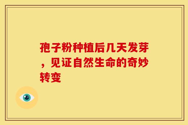 孢子粉种植后几天发芽，见证自然生命的奇妙转变