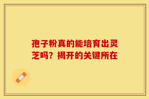 孢子粉真的能培育出灵芝吗？揭开的关键所在