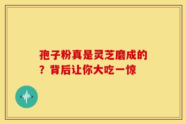 孢子粉真是灵芝磨成的？背后让你大吃一惊