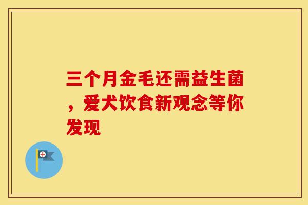 三个月金毛还需益生菌，爱犬饮食新观念等你发现