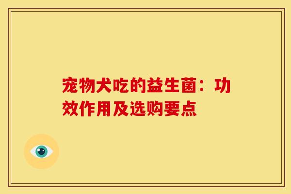 宠物犬吃的益生菌：功效作用及选购要点