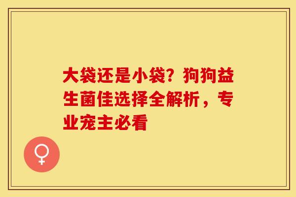 大袋还是小袋？狗狗益生菌佳选择全解析，专业宠主必看