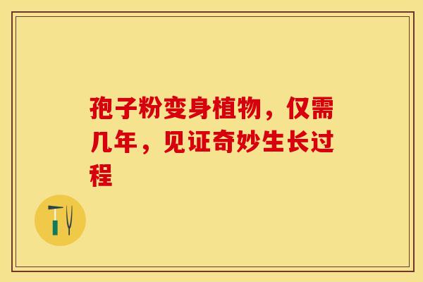 孢子粉变身植物，仅需几年，见证奇妙生长过程