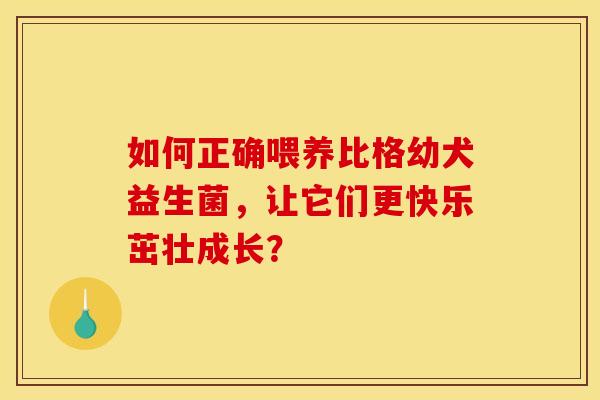 如何正确喂养比格幼犬益生菌，让它们更快乐茁壮成长？