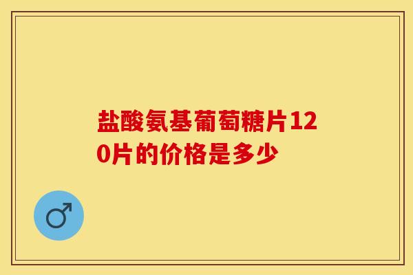盐酸氨基葡萄糖片120片的价格是多少