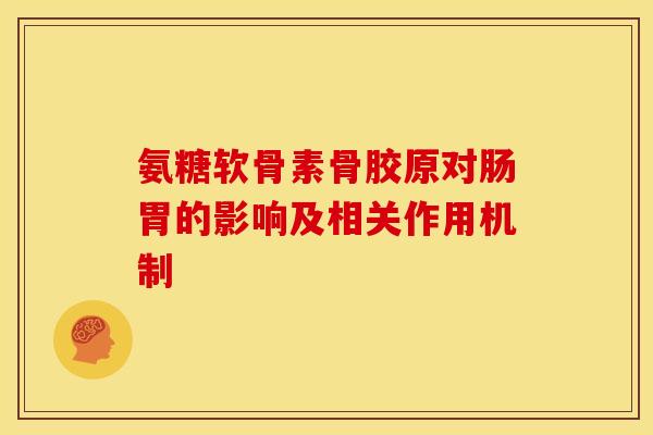 氨糖软骨素骨胶原对肠胃的影响及相关作用机制