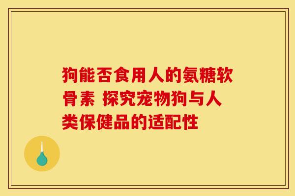 狗能否食用人的氨糖软骨素 探究宠物狗与人类保健品的适配性