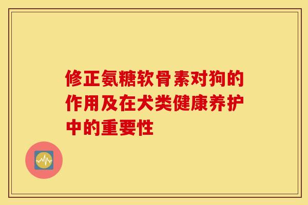 修正氨糖软骨素对狗的作用及在犬类健康养护中的重要性
