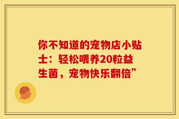 你不知道的宠物店小贴士：轻松喂养20粒益生菌，宠物快乐翻倍”