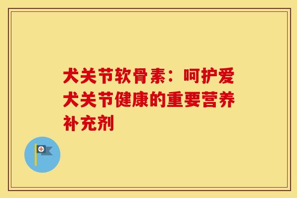 犬关节软骨素：呵护爱犬关节健康的重要营养补充剂