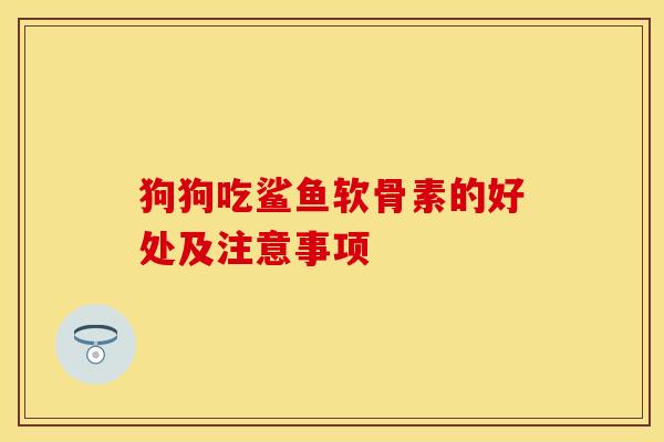 狗狗吃鲨鱼软骨素的好处及注意事项
