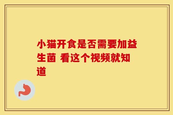 小猫开食是否需要加益生菌 看这个视频就知道