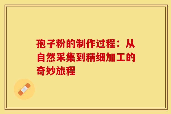 孢子粉的制作过程：从自然采集到精细加工的奇妙旅程