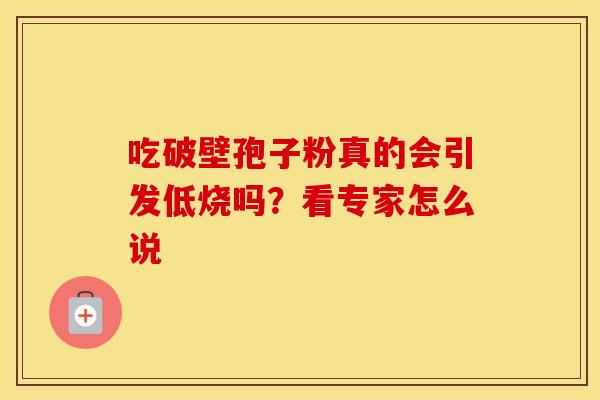吃破壁孢子粉真的会引发低烧吗？看专家怎么说
