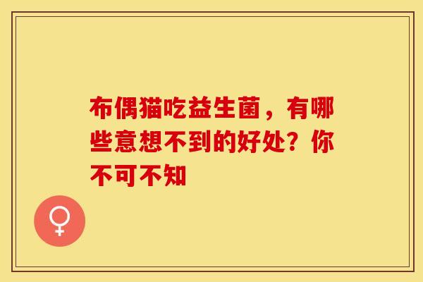 布偶猫吃益生菌，有哪些意想不到的好处？你不可不知