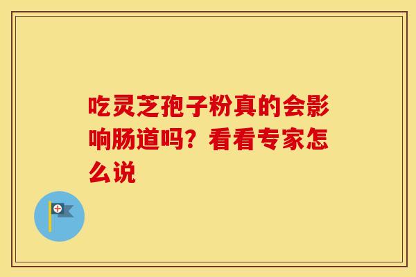 吃灵芝孢子粉真的会影响肠道吗？看看专家怎么说
