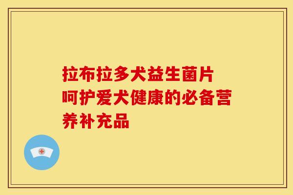 拉布拉多犬益生菌片 呵护爱犬健康的必备营养补充品 拉布拉多犬益生菌片 呵护爱犬健康的必备营养补充品