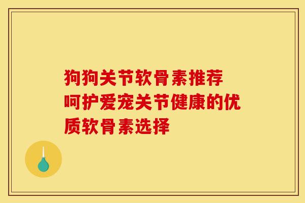 狗狗关节软骨素推荐 呵护爱宠关节健康的优质软骨素选择