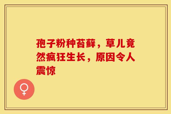 孢子粉种苔藓，草儿竟然疯狂生长，原因令人震惊