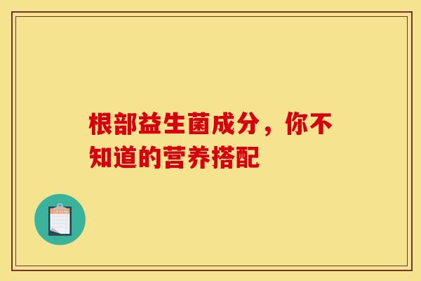 根部益生菌成分，你不知道的营养搭配
