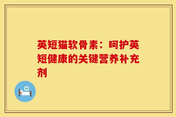英短猫软骨素：呵护英短健康的关键营养补充剂