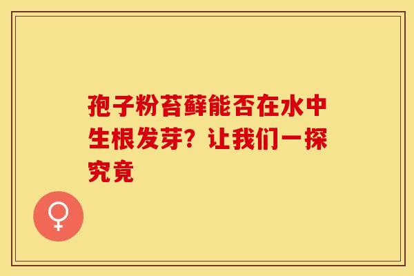 孢子粉苔藓能否在水中生根发芽？让我们一探究竟